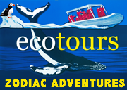 Ecotours Zodiac Adventures